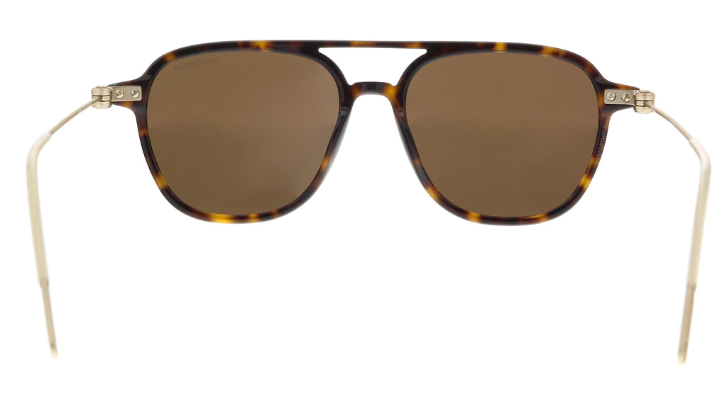 Montblanc MB0003S-002  Havana  Aviator Sunglasses