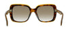 Rag And Bone RNB1033/G/S HA 0GPH Havana Orange  Sunglasses