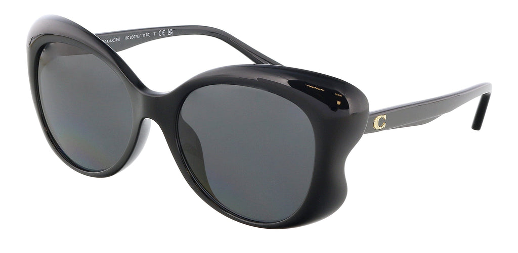 Coach  Cat Eye Full Rim Black Sunglasses