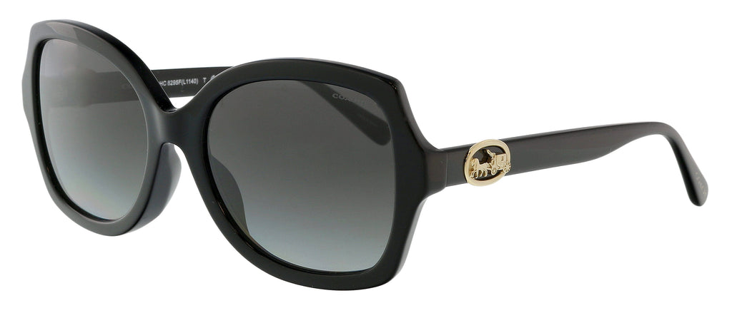 Coach  Full Rim Black Square Sunglasses