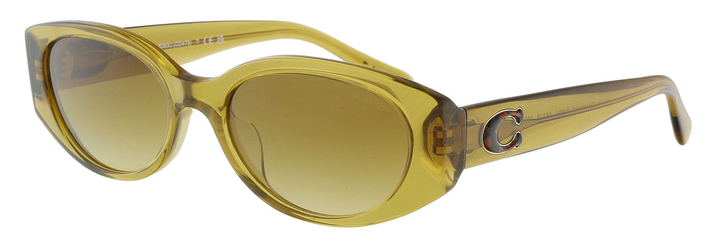 Coach  Full Rim Transparent Honey Rectangular Sunglasses