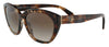 Prada  Full Rim Havana  Cateye Sunglasses