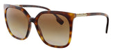 Burberry 0BE4347 33161356 Full Rim Havana Square Sunglasses