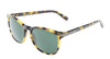 Coach  517171 Dark Tortoise Round Full Rim Sunglasses