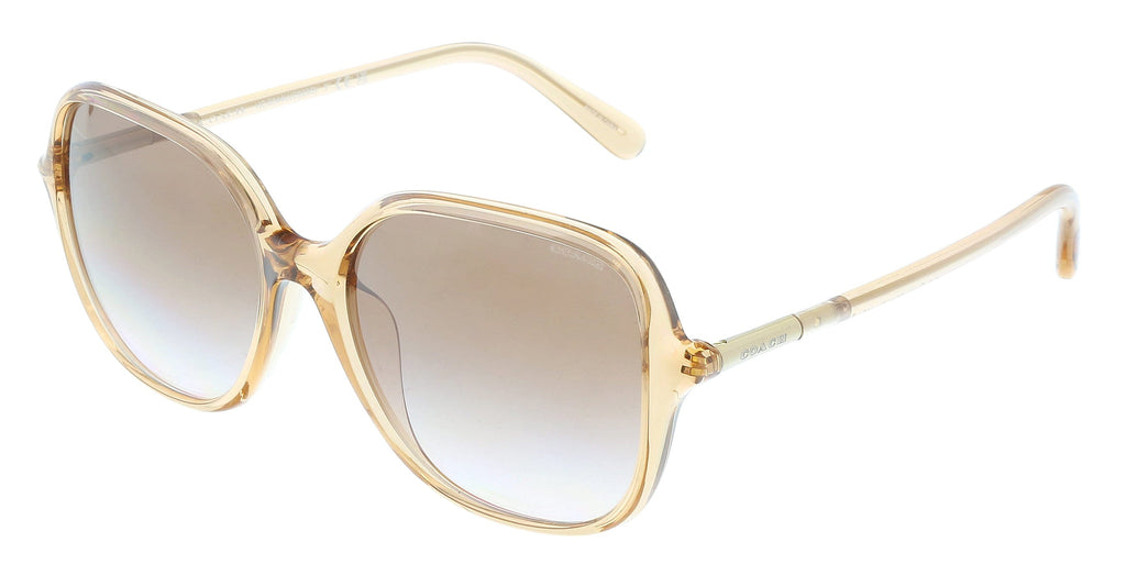 Coach  556113 Transparent Beige Square Full Rim Sunglasses