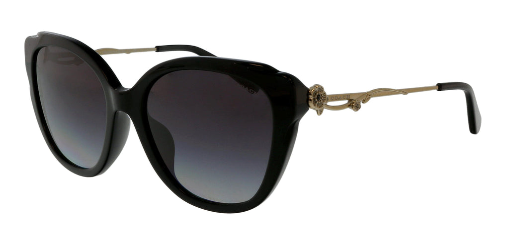 Coach  Black Gold Cat Eye Full Rim Sunglasses