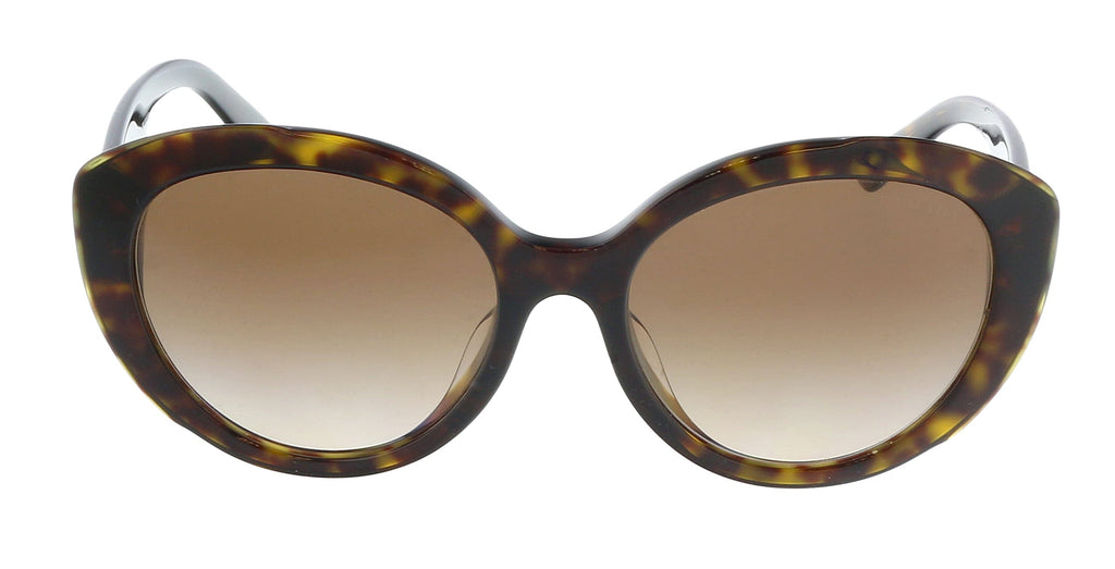 Prada 0PR 01YSF 2AU6S1 Dark Havana Oval Full Rim Sunglasses