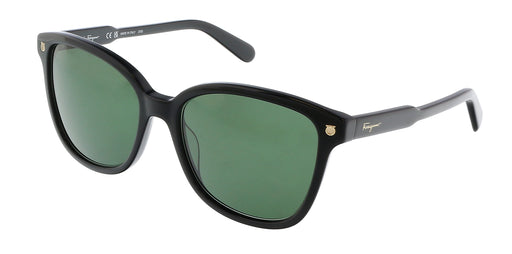 Salvatore Ferragamo SF815S 001 Modified Rectangle Full Rim Sunglasses