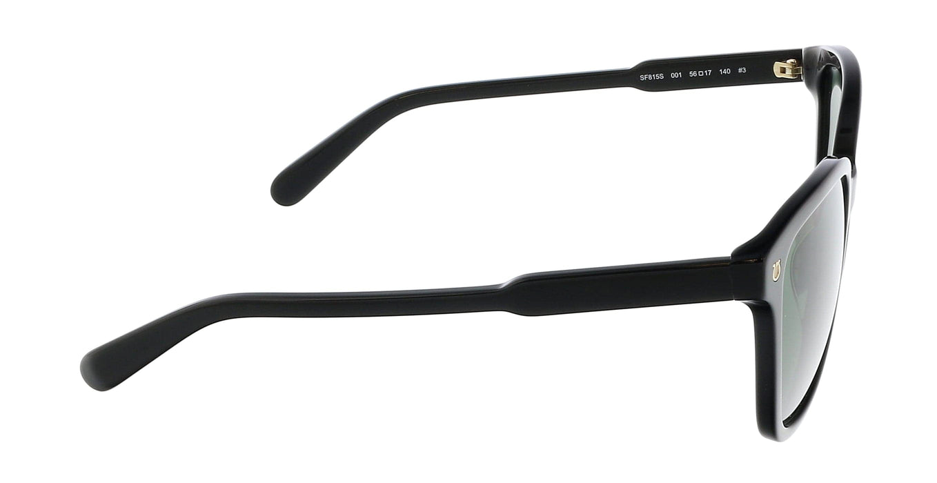 Salvatore Ferragamo SF815S 001 Modified Rectangle Full Rim Sunglasses