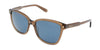 Salvatore Ferragamo  Modified Rectangle Full Rim Sunglasses