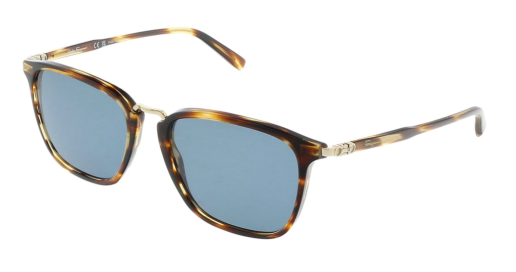 Salvatore Ferragamo  Square Full Rim Sunglasses