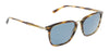 Salvatore Ferragamo SF910S 216 Square Full Rim Sunglasses