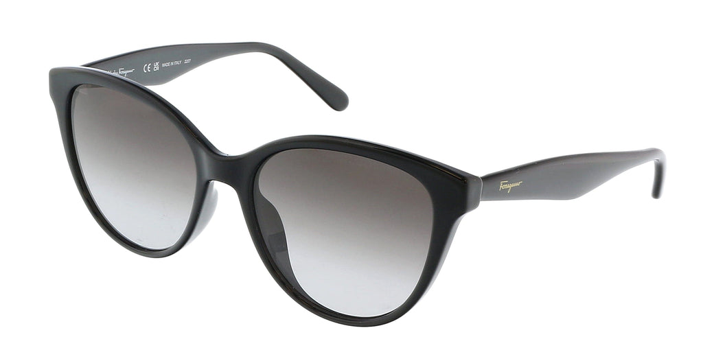 Salvatore Ferragamo  Cat Eye Full Rim Sunglasses