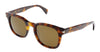 Lanvin  Full Rim Havana Modified Rectangle  Sunglasses