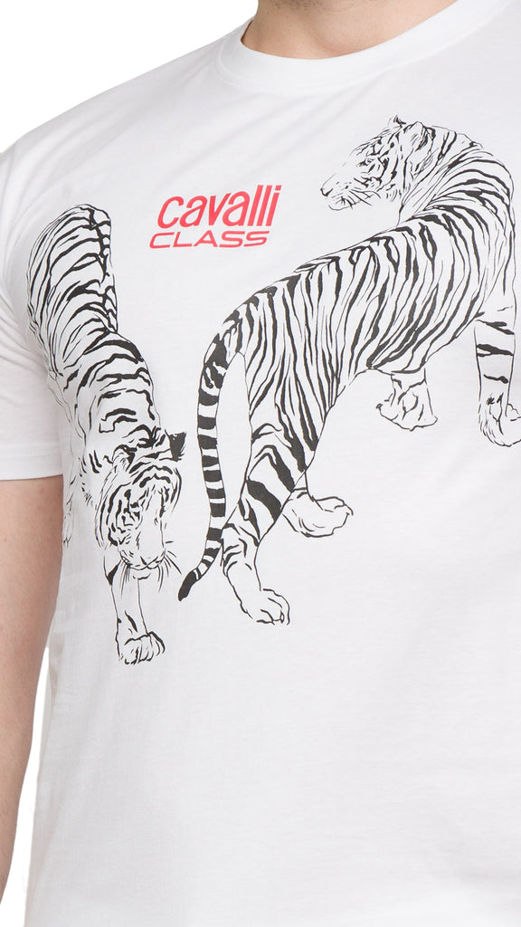 https://robertocavalli-skus.s3.amazonaws.com/menstshirt/112282.05.jpg