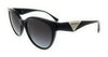 Emporio Armani  Shiny Black Oval Sunglasses