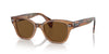 Ray-Ban  Brown Polarized Square Sunglasses