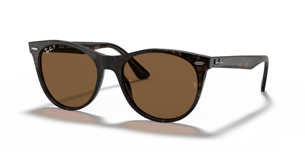 Ray-Ban  B-15 brown Polarized Round Sunglasses