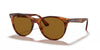 Ray-Ban  B-15 brown  Round Sunglasses