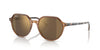 Ray-Ban  Gold Square Sunglasses