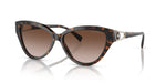 Emporio Armani 0EA4192 502613 Shiny havana Cat eye Sunglasses