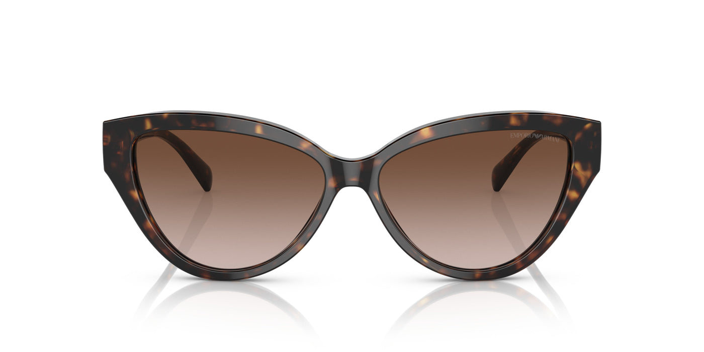 Emporio Armani 0EA4192 502613 Shiny havana Cat eye Sunglasses