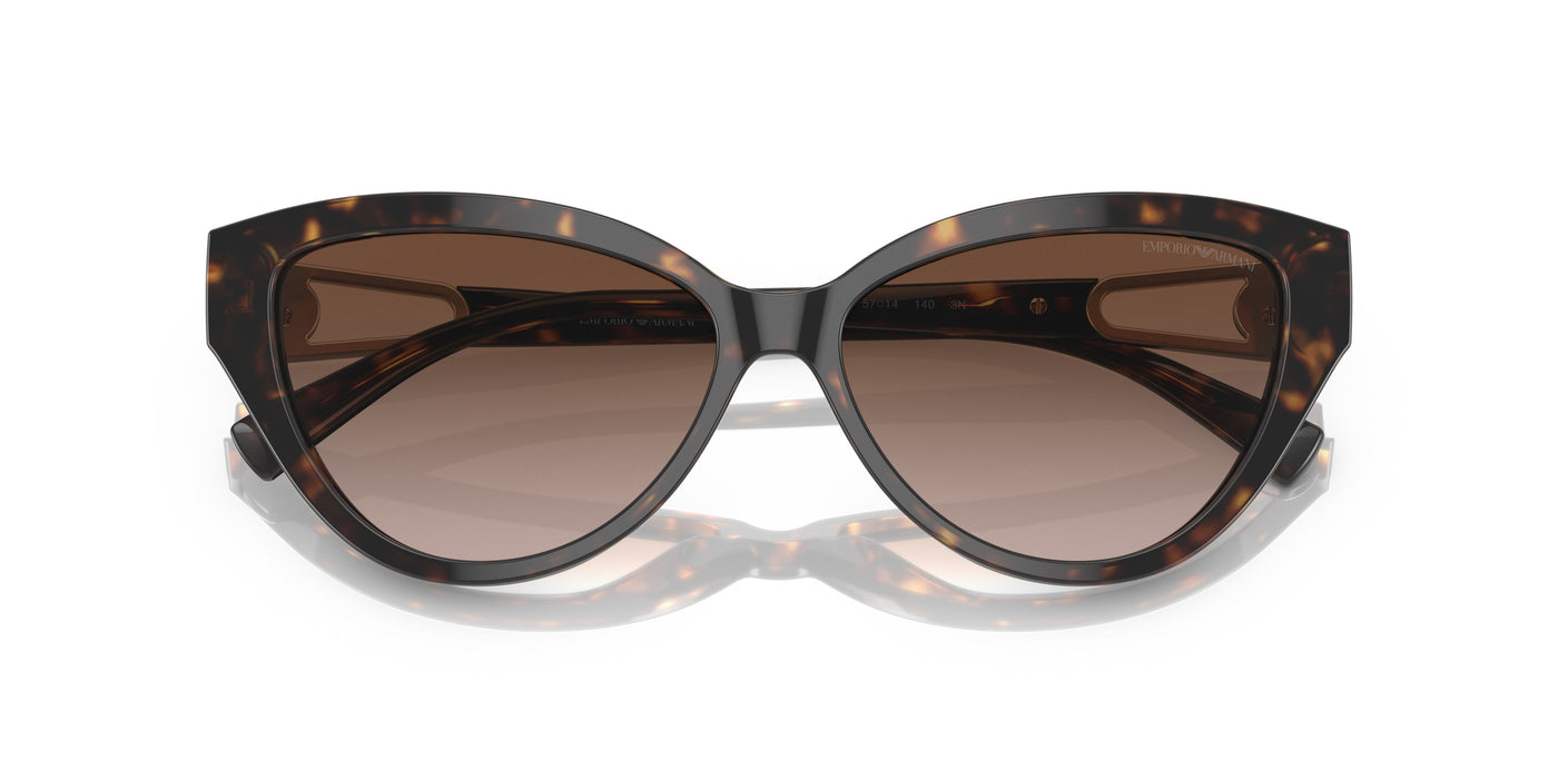 Emporio Armani 0EA4192 502613 Shiny havana Cat eye Sunglasses
