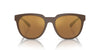 Emporio Armani 0EA4205 52606H Matte brown Square Sunglasses