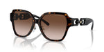 Emporio Armani 0EA4202F 502613 Shiny havana Square Sunglasses