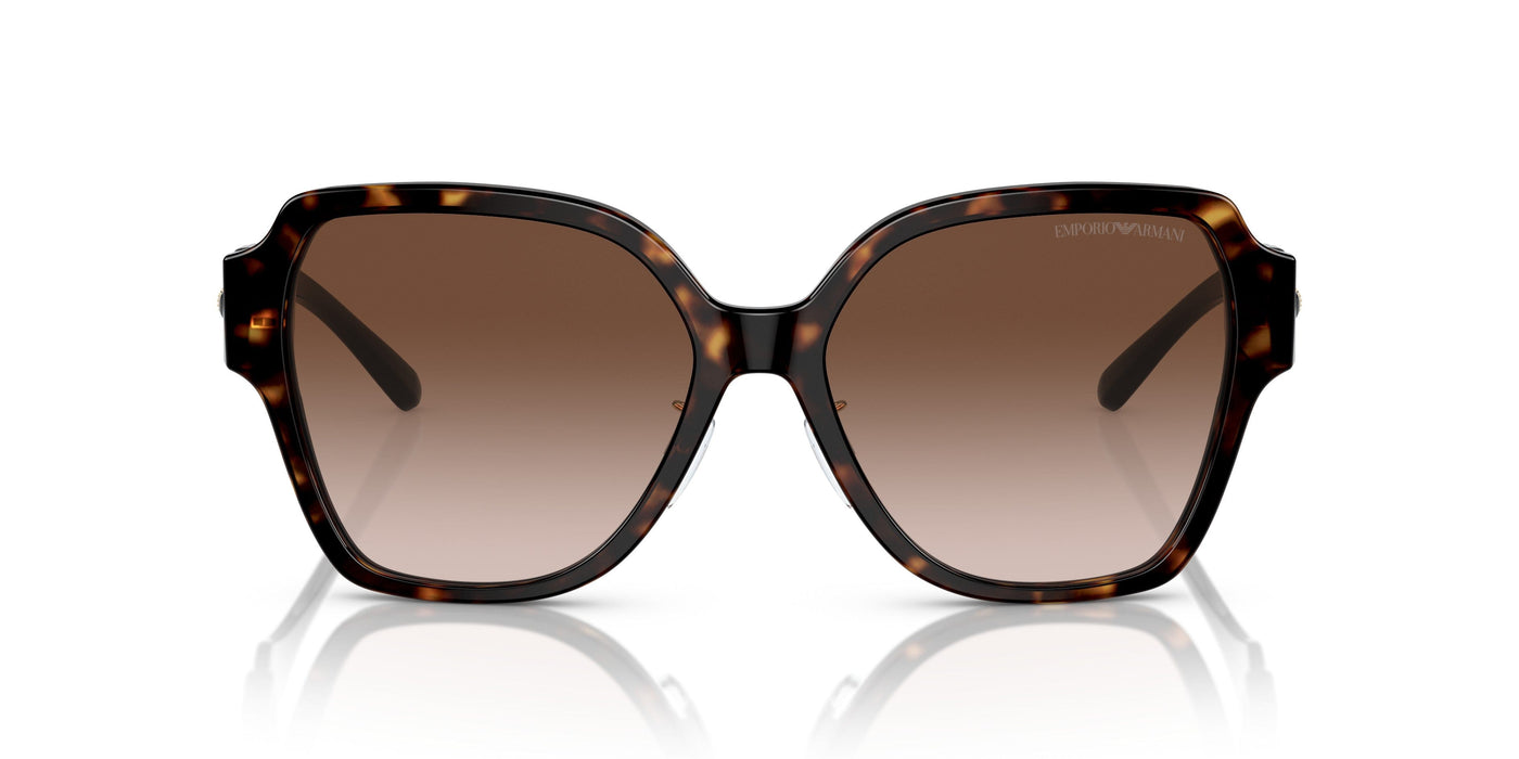 Emporio Armani 0EA4202F 502613 Shiny havana Square Sunglasses
