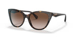 Emporio Armani 0EA4162 587913 Cateye Havana Sunglasses