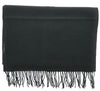 Lanvin Soft Luxurious Cashmere and Wool Green Fringe Scarf