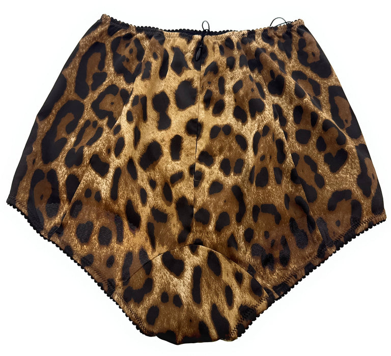 Dolce & Gabbana Leopard Print Vintage High-Waisted Briefs-S