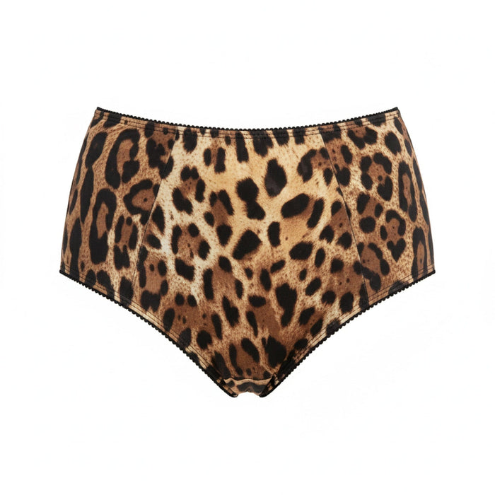 Dolce & Gabbana Leopard Print Vintage High-Waisted Briefs-S