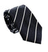 Emporio Armani Blue & Silver Regimental Stripe Men's Tie, 2"