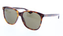 Gucci GG0024S-002   Havana Brown Oversized Cat-Eye Sunglasses
