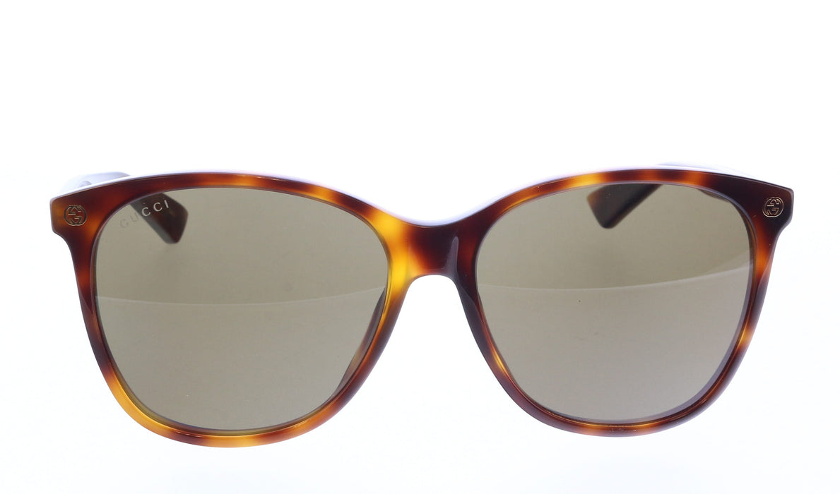 Gucci GG0024S-002   Havana Brown Oversized Cat-Eye Sunglasses