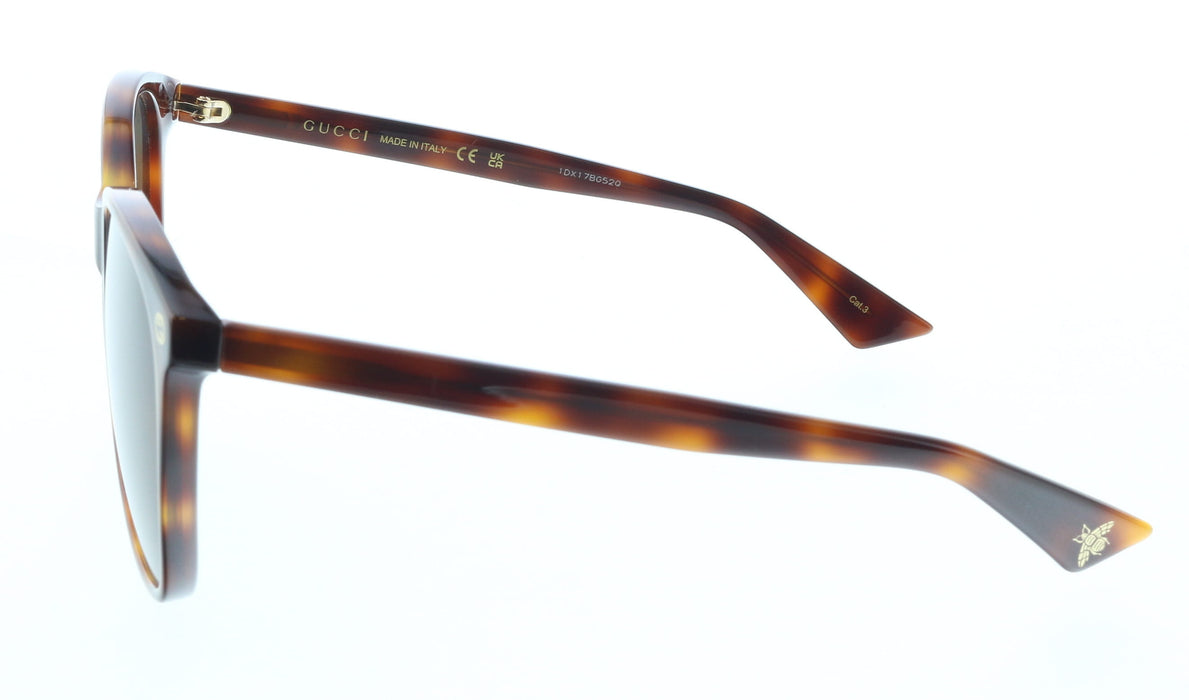 Gucci GG0024S-002   Havana Brown Oversized Cat-Eye Sunglasses