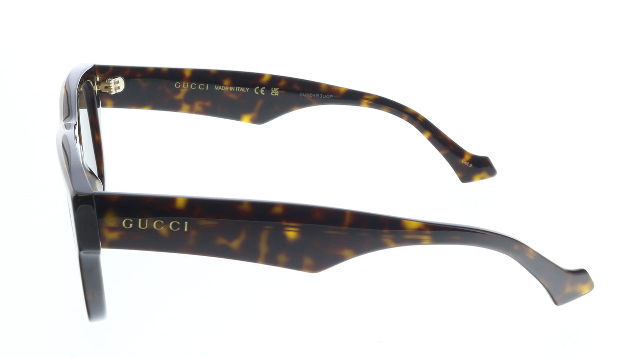 Gucci GG1427S-003 Havana square Mens Sunglasses