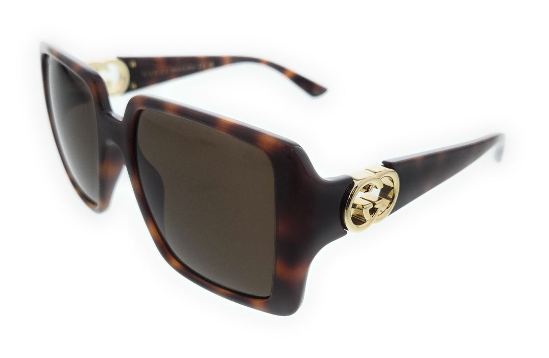 Gucci GG1692S-002 Havana square Ladies Sunglasses