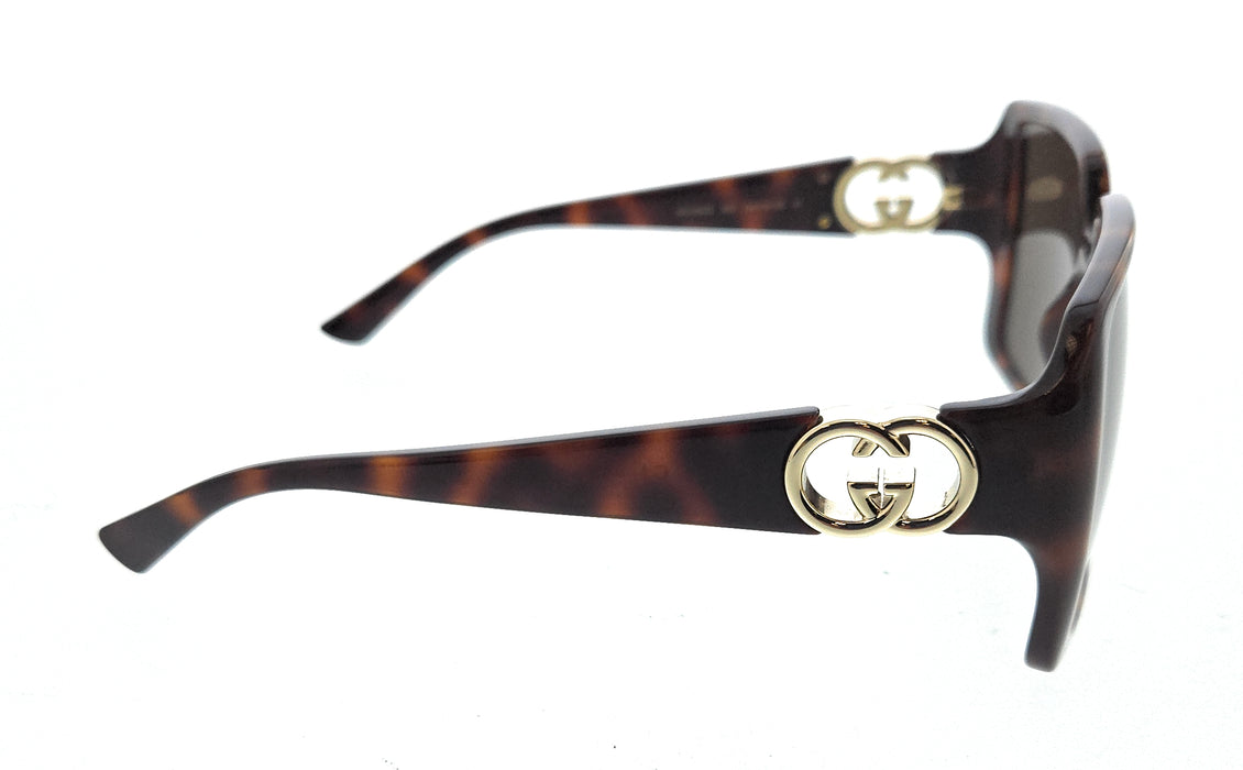 Gucci GG1692S-002 Havana square Ladies Sunglasses