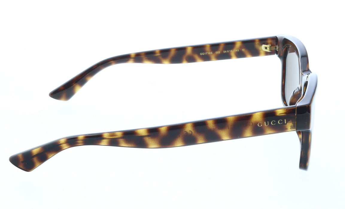 Gucci GG1716S-002 Havana square Mens Sunglasses