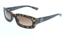 Gucci GG1786S-002 Havana square Mens Sunglasses