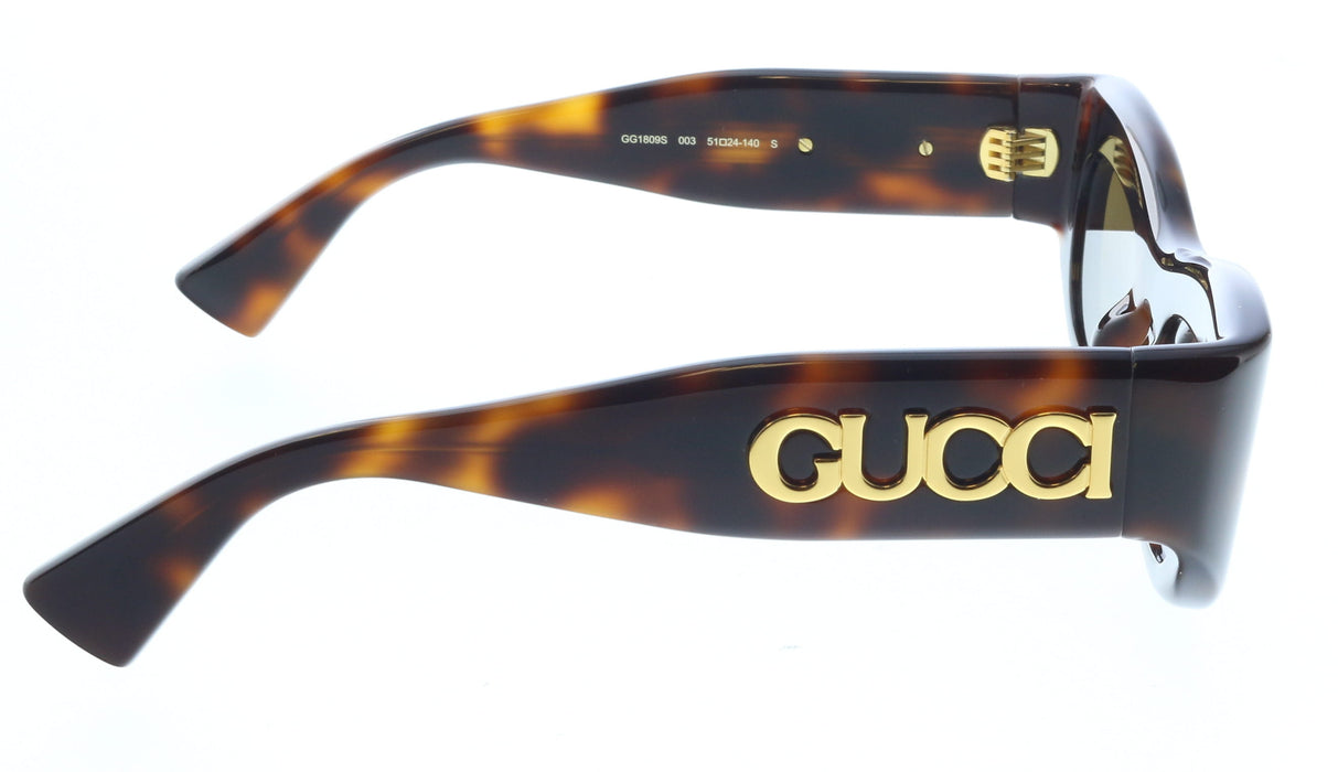 Gucci GG1809S-003 Havana round Ladies Sunglasses