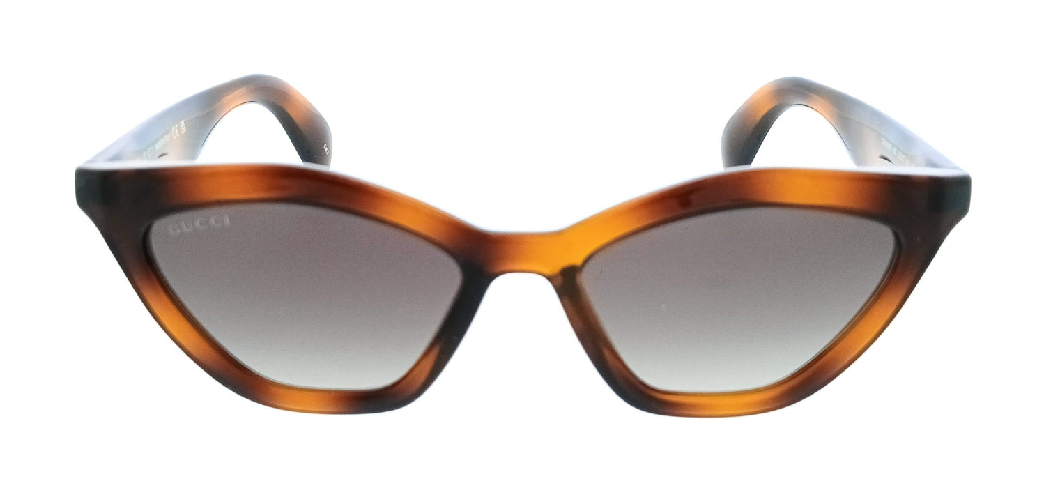 Gucci GG1931S-003 Havana Cat Eye Women’s Sunglasses