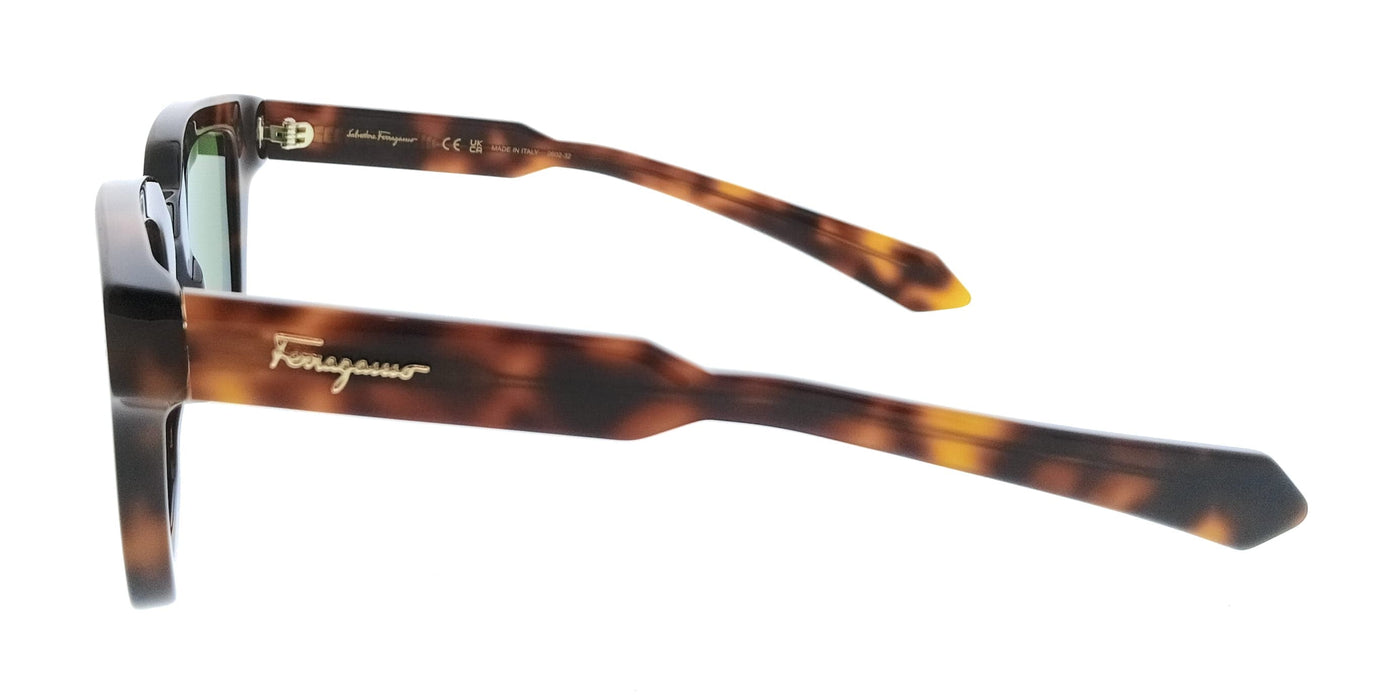 Salvatore Ferragamo SF1064SCP 240 Round Tortoise Men's Sunglasses