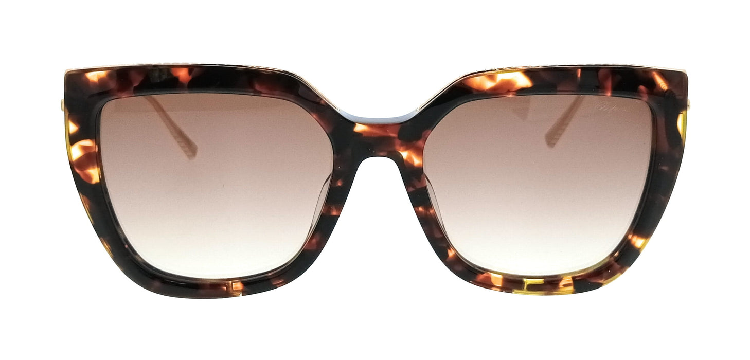 Chopard SCH319M540745 Havana Cat Eye Womens Sunglasses