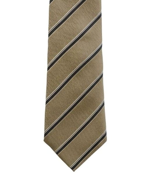 Armani Collezioni Mens Tan / Navy Diagonal Stripe Silk Neck Tie
