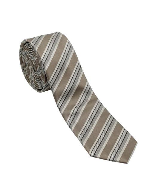 Armani Collezioni Mens Taupe / White / Black Diagonal Stripe Neck Tie