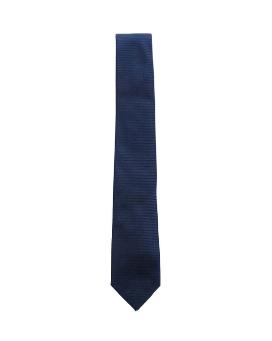 Armani Collezione Mens Navy Blue Tonal Textured Neck Tie